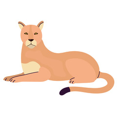 Florida panter icon clipart avatar logotype isolated illustration