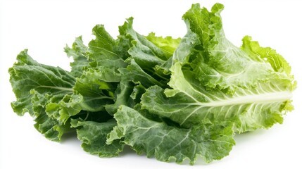 Fresh Green Collard Leaves on White, Isolated.