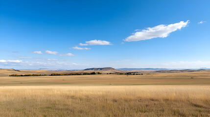 Fototapeta premium Vast Golden Prairie Landscape Under a Blue Sky