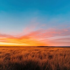 Obraz premium golden field at sunset