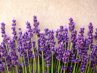 Naklejka premium Lavender Flowers Photo Background