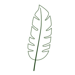 Leaf icon