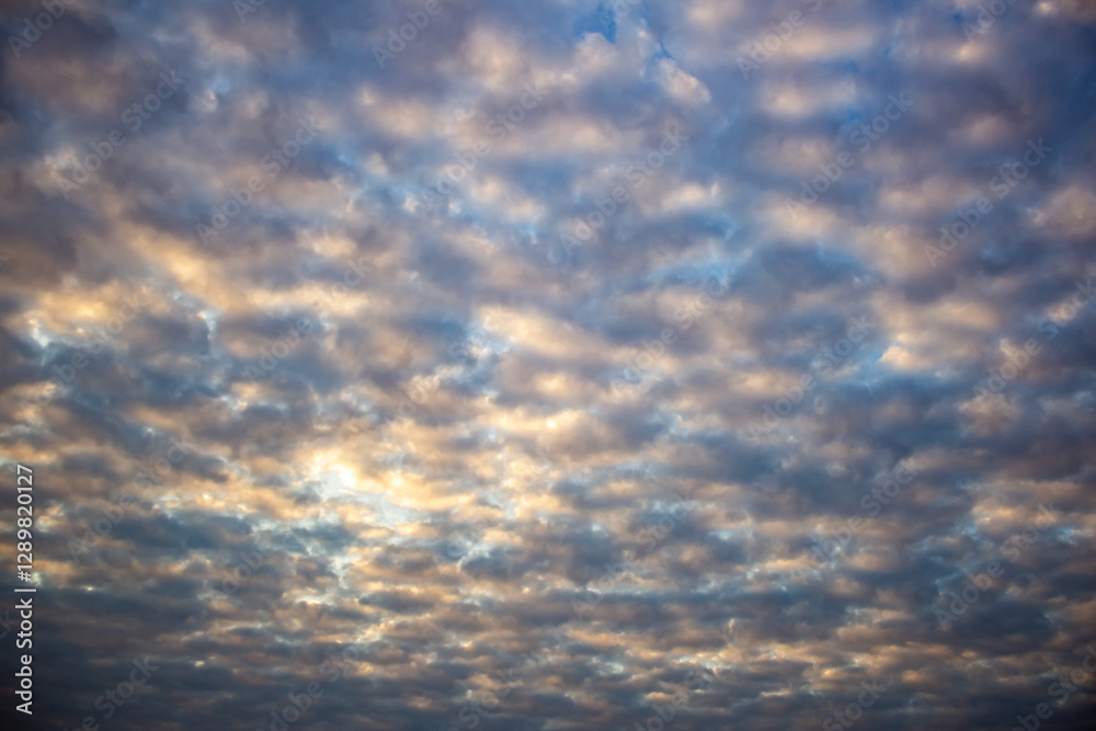 Wall mural cloudscape has been developing in gorgeous form. the sky is filled with dark and light clouds.