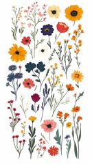Obraz premium Retro flowers and plants set pattern illustration poster background