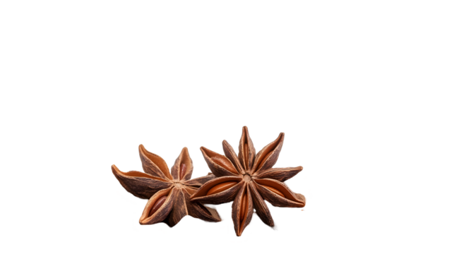 Detailed view of star anise spice, aromatic ingredient used in culinary practices