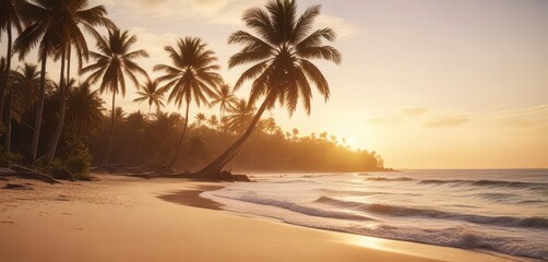 Vintage toned photograph of a sandy ocean beach with swaying palm trees and a warm golden light filtering through the air at dusk,  warm light, film texture