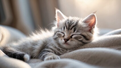 Sweet Tabby Kitten Dreaming on a Soft Blanket in Gentle Light