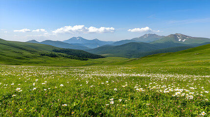 Fototapeta premium Vibrant Green Meadow with White Wildflowers and Mountain Range under a Clear Blue Sky