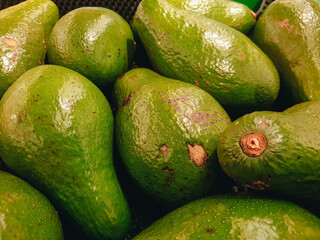 Freshly harvested avocados grouped together in a tight frame, showcasing their vibrant green color and appetizing appearance