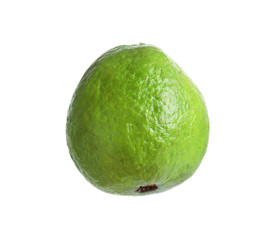 One fresh guava fruit isolated on white