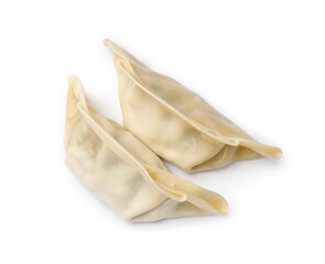 Fresh gyoza dumplings isolated on white, top view