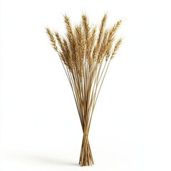 Fototapeta premium Bunch of Golden Wheat Stalks Against a White Background