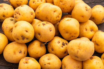 Criolla potatoes are a type of small, yellow potato that is very popular in Latin American cuisine - Solanum phureja