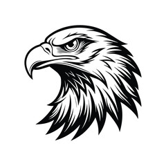 Fototapeta premium a vector illustration of a eagle head.