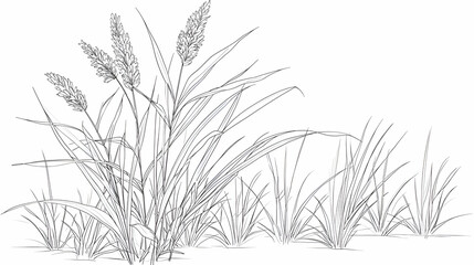 Naklejka premium Detailed Black And White Botanical Illustration Of Lush Foliage