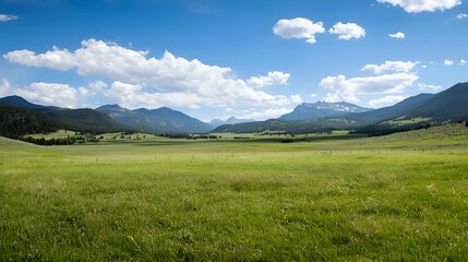 Fototapeta premium Vast Green Meadow Landscape with Distant Mountains Under a Blue Sky