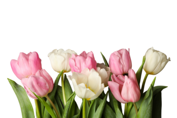 PNG, March 8. Bouquet of tulips, with space for text, isolated on white background.