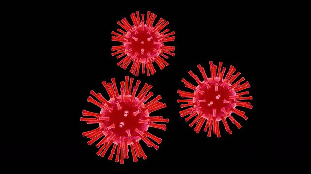 3D Animation of Pathogen respiratory covic viruses causing infection | Alpha Channel