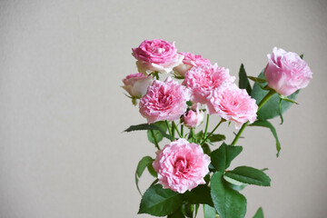 ピンクのスプレーばら