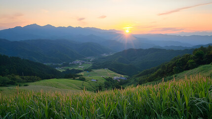 Obraz premium Sunrise Over Rolling Green Hills and Valley