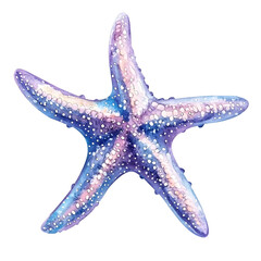 Watercolor illustration of a starfish on a white bakground