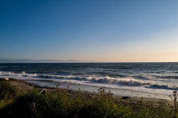 Whild grasses and washed up driftwood on a sunset beach on Deception Bay in Washington State