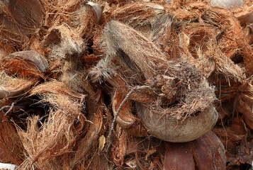 Brown dry husk of coconut peel.