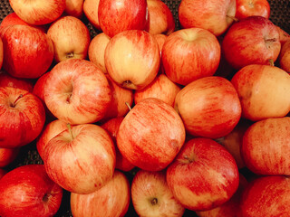 Lots of red apples. Tasty and juicy. Background of apples.