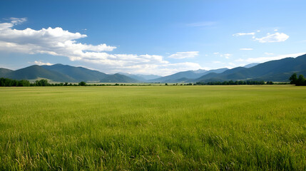 Vast Green Meadow Landscape Under Blue Sky with Distant Mountains