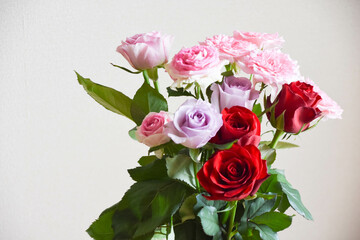 カラフルなばら