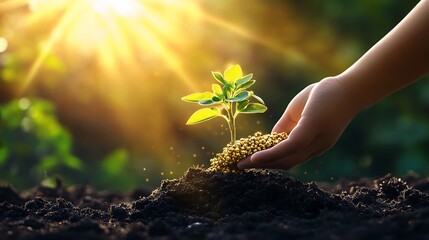 Fototapeta premium Nurturing New Life Golden Fertilizers Aid Growth in The Sun's Warm Embrace