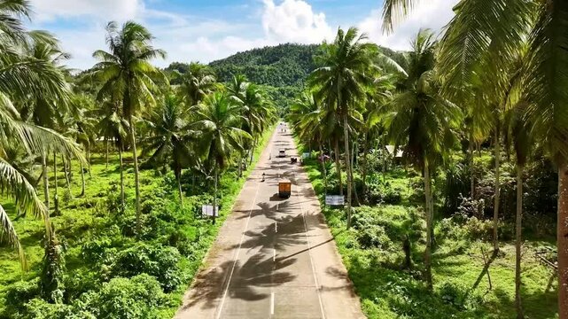 Drone Aerial view of coconut tree road in Siargao Island. rural scene, tropical jungle. tourism destination in Philippines.

