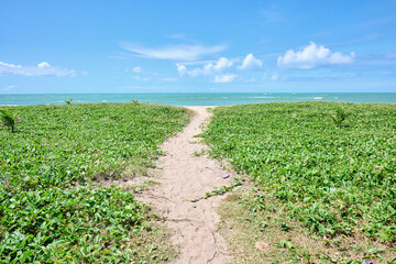 Praia de Maracaipe, Porto de Galinhas. Ipojuca - Pernambuco.