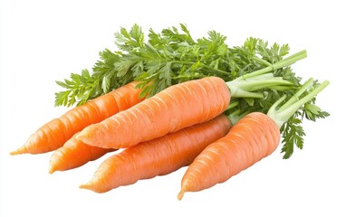 Fresh carrots with leaves on white background (2)