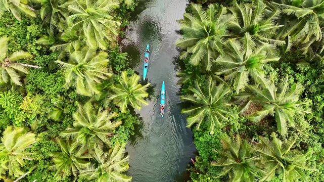 Drone Aerial view of river in tropical jungle coconut palm trees field in Siargao Island. rural scene. popular tourism destination in Philippines. 