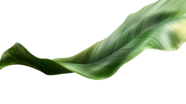 abstract green wave isolated on white background