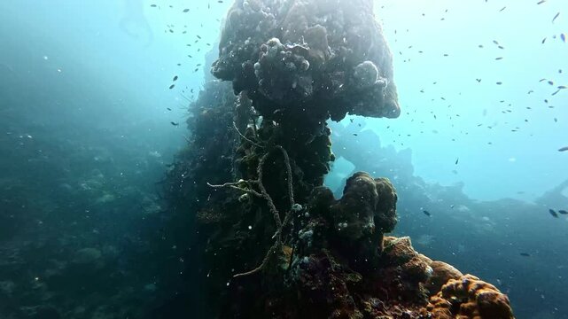 Philippines scuba diving shipwreck. tourism destination for coral reef and diving in Coron, Palawan.