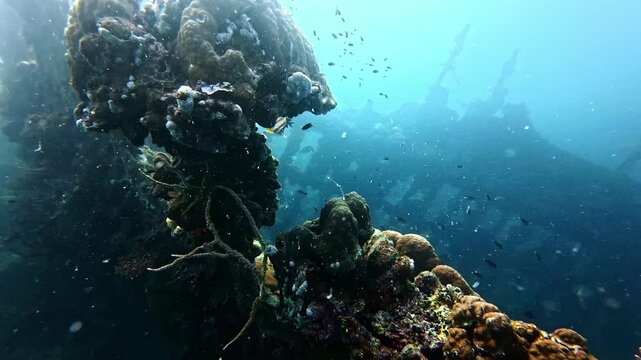 Philippines scuba diving shipwreck. tourism destination for coral reef and diving in Coron, Palawan.