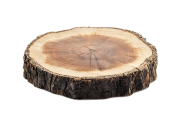 Closeup of a Cross Sectioned Tree Trunk Showing Distinct Growth Rings on Rustic Wooden Surface
