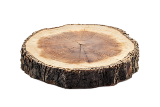 Closeup of a Cross Sectioned Tree Trunk Showing Distinct Growth Rings on Rustic Wooden Surface