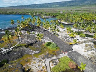 An aerial view of the Hawaiian idols at Pu'uhonua o Honaunau, with lush trees and vibrant greenery in the background. The statues are framed by the natural tropical landscape, showcasing the deep conn