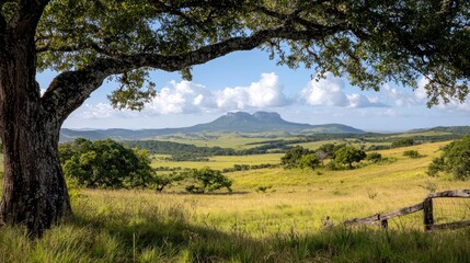 Hilly landscape viewed through tree branches