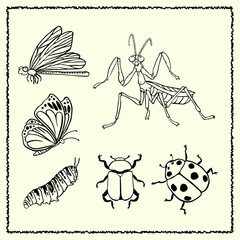 insect-collect-outline