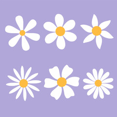 Set of daisy or camomile flower. Simple icon vector with purple background. Flat design illustration. 