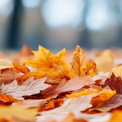 Capture the Essence of Autumn A Stunning Macro Photograph Showcasing the Rich Textures and Warm Hues of Fallen Leaves Explore the Intricate Veins, Delicate Edges, and Muted Earth Tones That Define