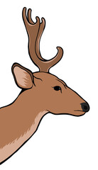 Deer head side profile colored