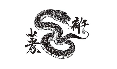 Obraz premium Zodiac Snake Calligraphy, intricate brush strokes form the kanji for snake, embodying elegance and tradition in Japanese art.