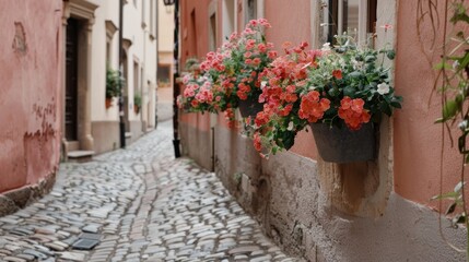 Fototapeta premium view of house walls decorated with flowers and roads