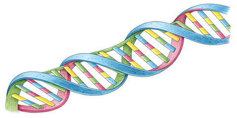 Spiral of coorful DNA double helix with light bokeh and bubble on beautiful blue background.