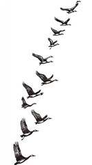 Geese in Flight Aerial Migration Across a Clear Sky - Nature's Spectacle Unveiled